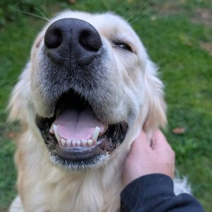 PXL_20250822_130910250