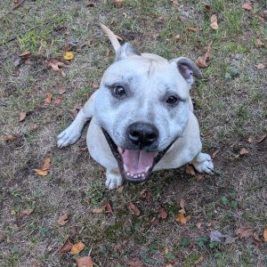 PXL_20250926_220730045