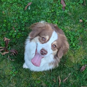 PXL_20250926_222100823